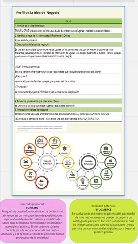 Perfil idea de negocio