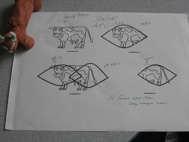 Pictures Take On Eye-Shaped Form