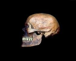 "Homo Sapiens Sapiens Hace 40.000 años a.c
