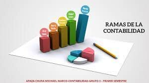 RAMAS DE LA CONTABILIDAD