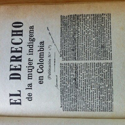 Timeline: manifiesto firmado por 14000 mujeres indigenas sobre los derechos de la mujer