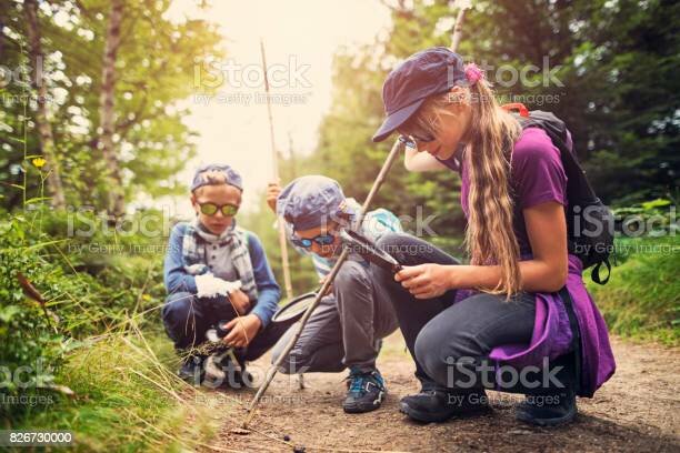 Escuela activa racionalista