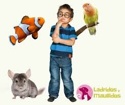 Existieron leyes de protección contra la crueldad animal, antes que de protección para la infancia