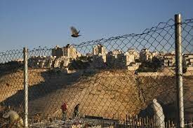 Israel Passes Law Retroactively Legalizing Almost 4,000 Settler Homes Built on Palestinian Land