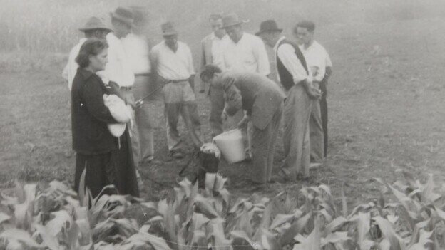 Política agrícola común