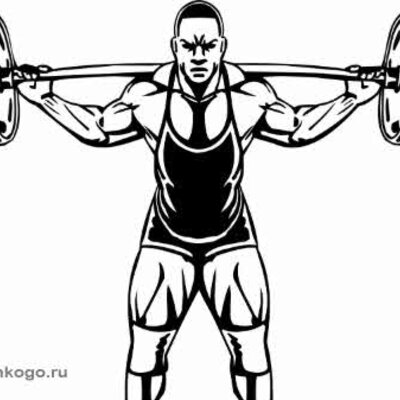 Timeline: Атлетическая гимнастика и ее влияние на организм человека