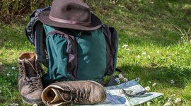 Timeline: Cronograma del proyecto