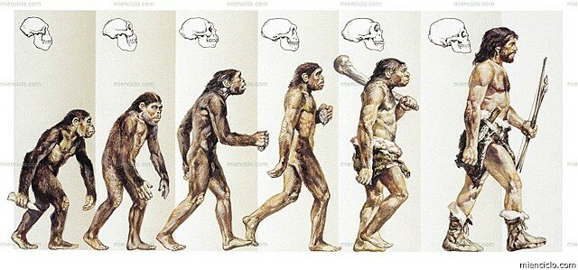 Teorías de la Evolución de Darwin Y Wallace
