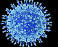 Declarada Pandemia gripe A