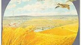 Timeline: Canadian Immigration in 1900's