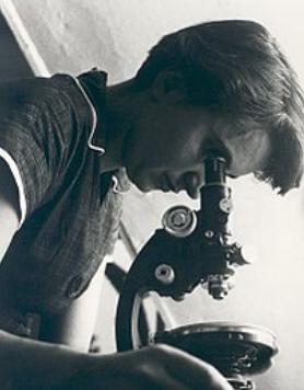 Rosalind Franklin