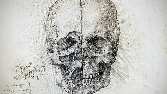 First Anatomical drawings appear in his notebooks.
