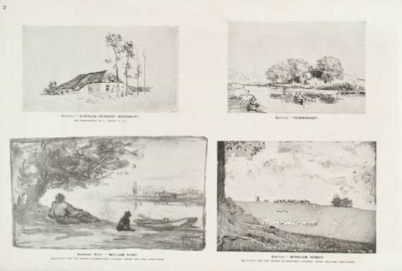 Nature Drawing Gains Popularity