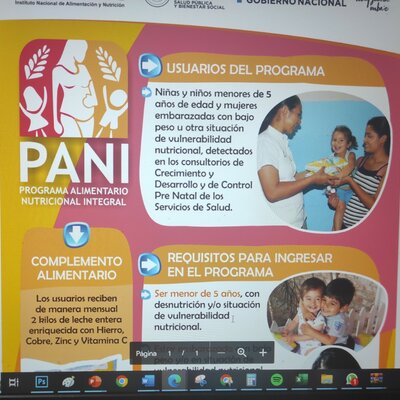 Timeline: evaluación de la implementación del PANI