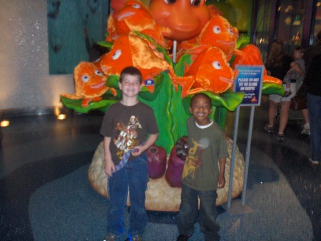 First time at the Atlanta Aquarium