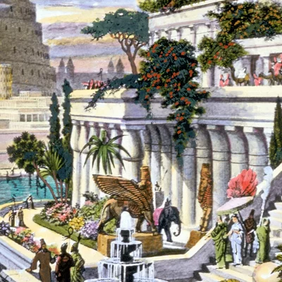 Timeline: Final Proyect