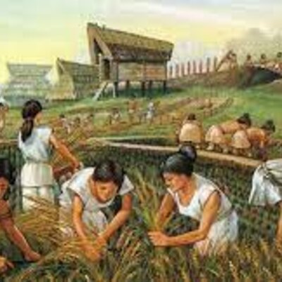 Timeline: El tiempo recorrido en ciencias y comunicación