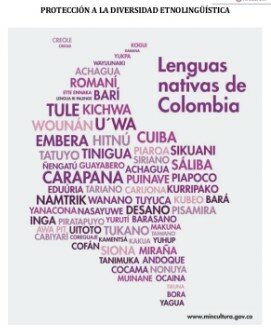 Ley 1381 de 2010. Derecho de los hablantes de lenguas nativas
