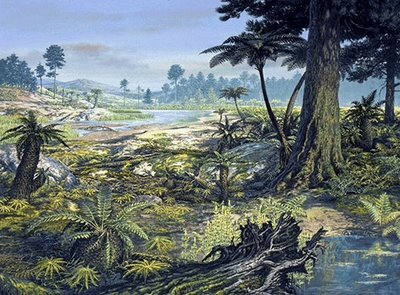 Clima tropical i húmit