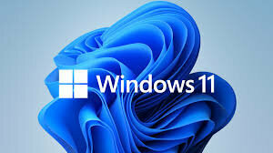 Windows 10