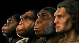 Timeline: LA EVOLUCION HUMANA