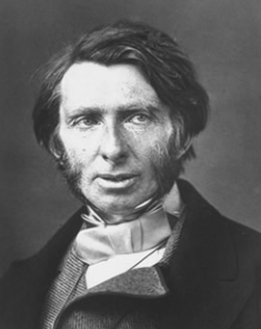 Rules or Intuition-John Ruskin