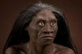 Homo floresiensis