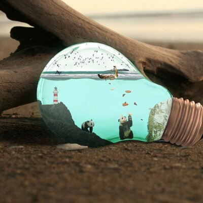 Timeline: Historia construccion ciudadana