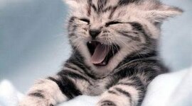 Timeline: Los momentos de mi vida