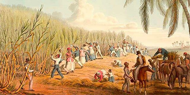 Concentración de La Propiedad Rural