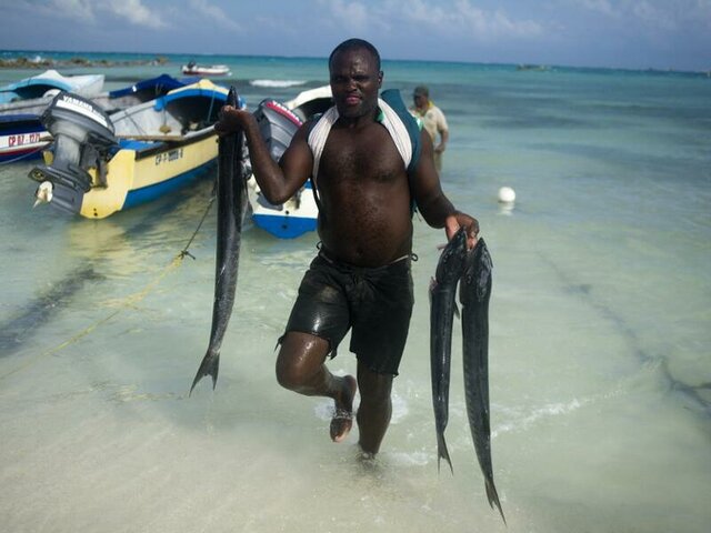 Decreto 1211 de 2018