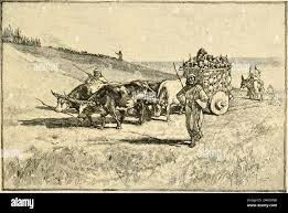 La Propiedad Eclesiástica Católica y la Clasificación de sus bienes en México