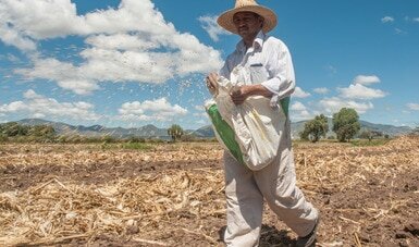 Forma Migratoria de Visitantes Agrícolas (FMVA)