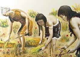 Primeros agricultores