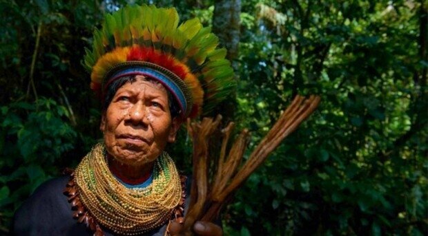 Sociedades indígenas actuales