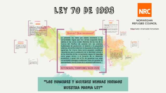 LEY 70 DE 1993