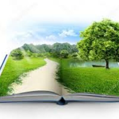 Timeline: ANTECEDENTES AMBIENTALES EN COLOMBIA