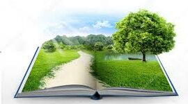 Timeline: ANTECEDENTES AMBIENTALES EN COLOMBIA