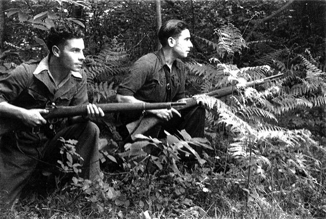 The maquis stop fighting