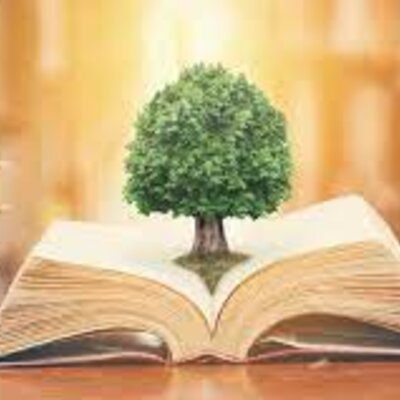 Timeline: Derecho ambiental en Colombia– La Constitución Colombiana de 1991 en temas ambientales - Actividad: Línea de tiempo