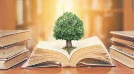 Timeline: Derecho ambiental en Colombia– La Constitución Colombiana de 1991 en temas ambientales - Actividad: Línea de tiempo