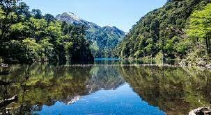 Decreto 1323 de 2007