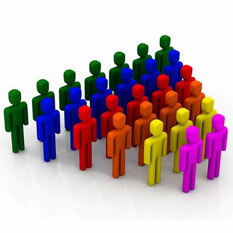 Sección de estadística