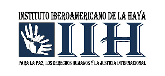 Años 90- Red de Derechos Humanos Todos los Derechos para Todos y promoción de movimientos sociales para potenciar e intensificar sus intenciones y asociaciones para entenderse mutuamente y lograr metas