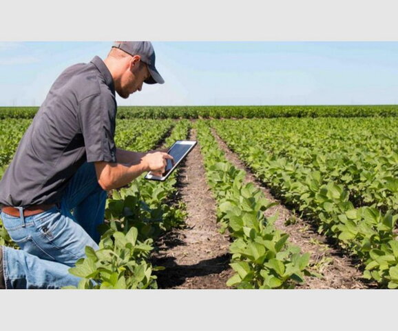 I Censo Agropecuario y I Censo de Vivienda Urbana