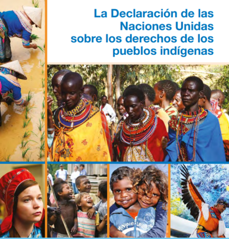 Declaración Universal de Derechos de los pueblos indígenas de la  ONU
