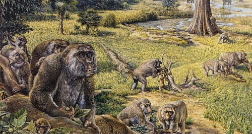 CENOZOICO -NEOGEN -PLIOCÈ