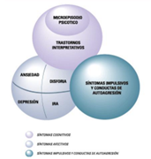 La ciencia en la psicología 2015