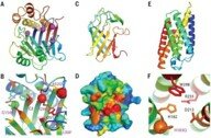 Predicción de la estructura de las proteínas mediante inteligencia artificial