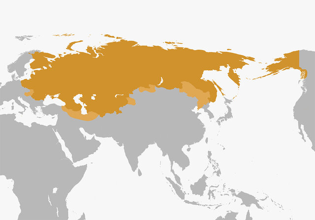 Toma de Crimea y del territorio que en la actualidad es Ucrania.